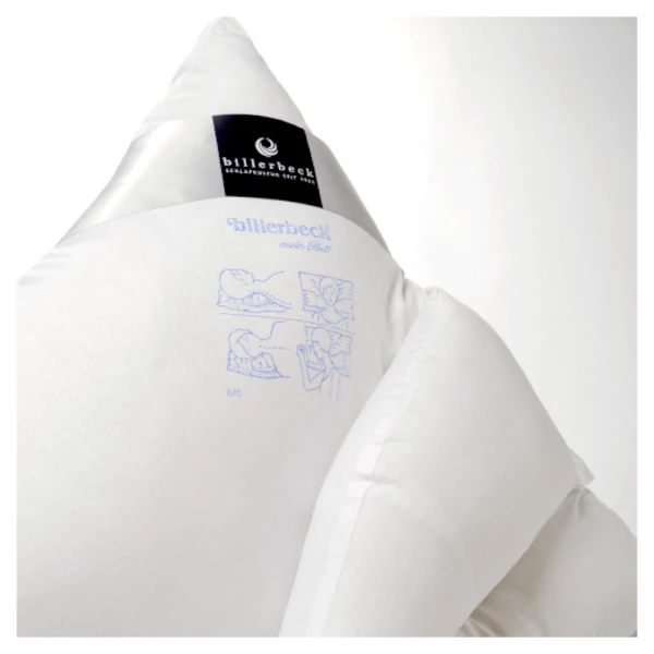 BIllerbeck  TARKÓTÁMASZTÓ párna