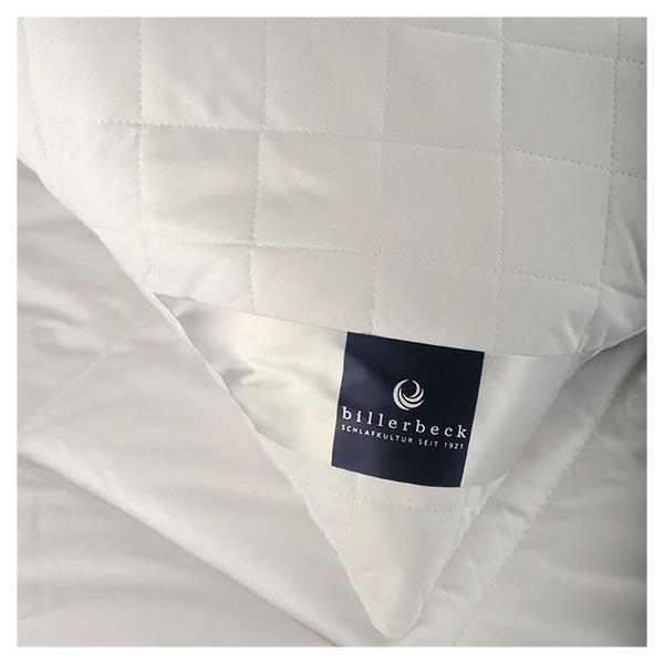 BIllerbeck  Chantal műszál párna