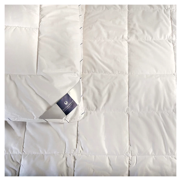 BIllerbeck  LOTTE len paplan