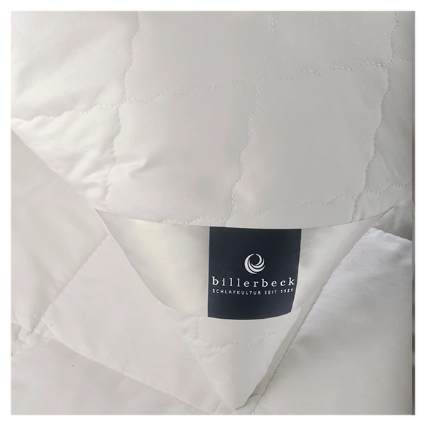BIllerbeck  Bambusz párna